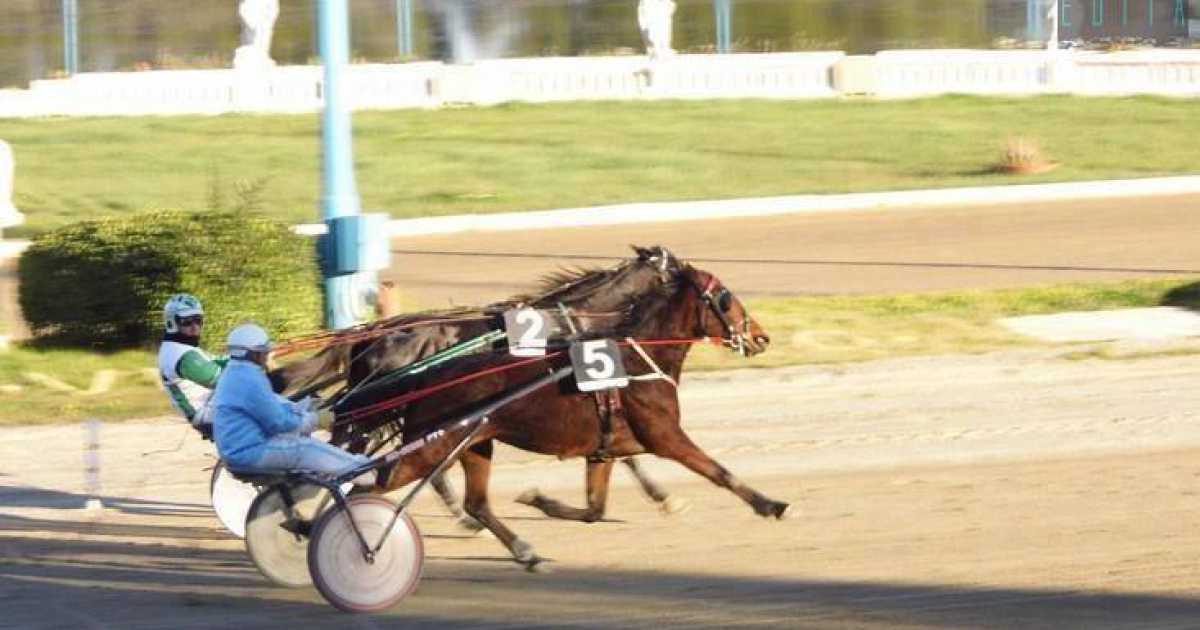 Taranto, un giorno all'ippodromo: tra corse, scommesse, cavalli e drivers